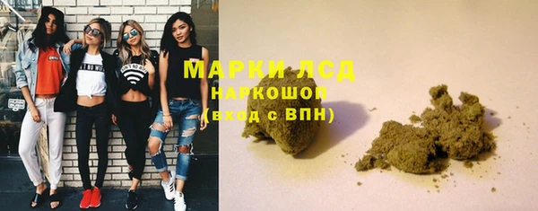 ГАЛЛЮЦИНОГЕННЫЕ ГРИБЫ Богданович