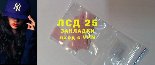ГАЛЛЮЦИНОГЕННЫЕ ГРИБЫ Богданович
