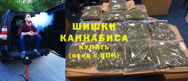 ГАЛЛЮЦИНОГЕННЫЕ ГРИБЫ Богданович