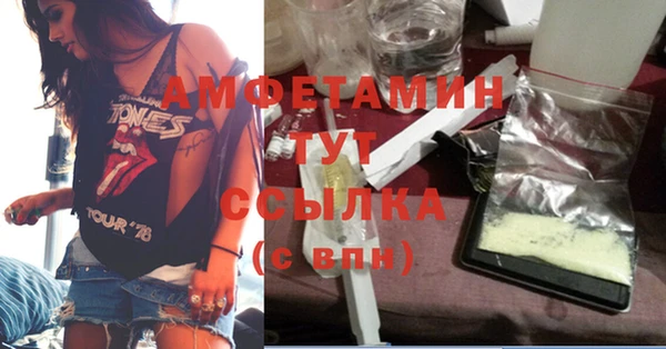 ГАЛЛЮЦИНОГЕННЫЕ ГРИБЫ Богданович