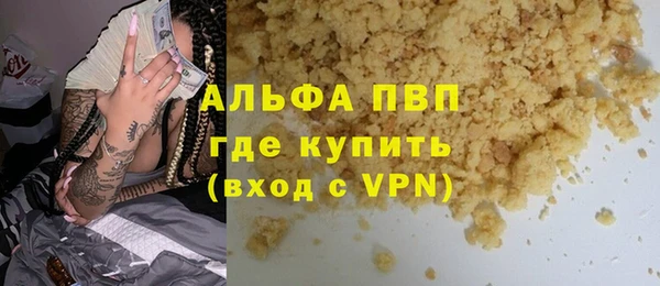 ГАЛЛЮЦИНОГЕННЫЕ ГРИБЫ Богданович
