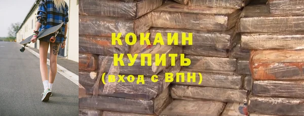 ГАЛЛЮЦИНОГЕННЫЕ ГРИБЫ Богданович