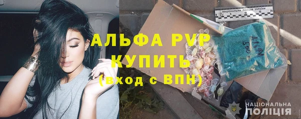 ГАЛЛЮЦИНОГЕННЫЕ ГРИБЫ Богданович
