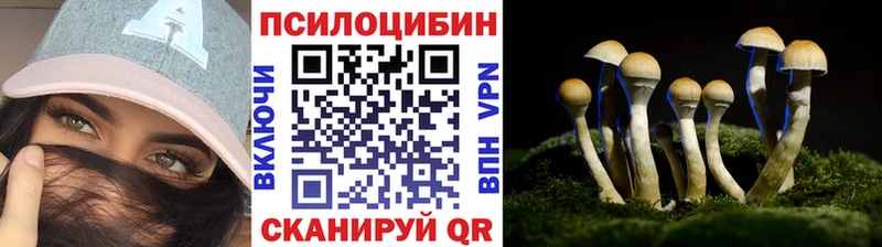 Галлюциногенные грибы мухоморы Буинск